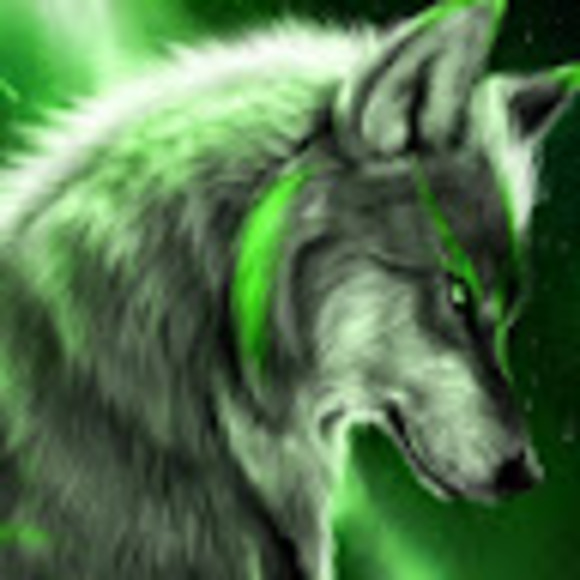 coyotecoty3